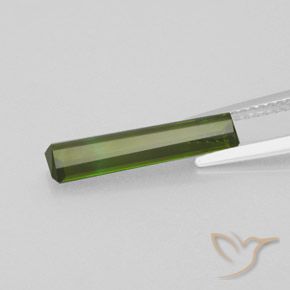 Tourmaline Gemstone in 17.1 x 3.7 mm Size for Sale, Tourmaline Stone in Medium Green Color