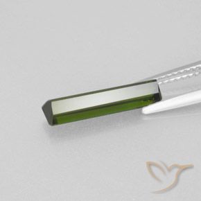 Tourmaline Gemstone in 14.9 x 3.6 mm Size for Sale, Tourmaline Stone in Forest Green Color