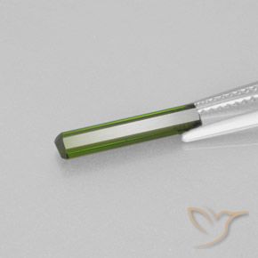 Tourmaline Gemstone in 14.4 x 3.1 mm Size for Sale, Tourmaline Stone in Medium Green Color