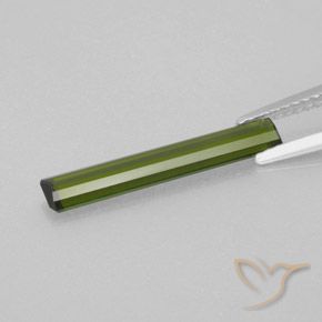 Tourmaline Gemstone in 19.7 x 3.2 mm Size for Sale, Tourmaline Stone in Warm Green Color