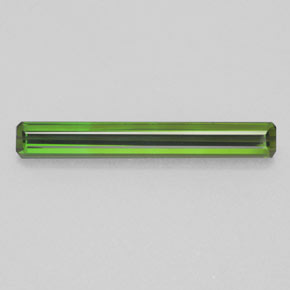 Deep Green Tourmaline Gem - 1.8ct Octagon Facet (ID: 365184)