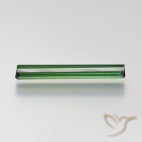 Tourmaline Gemstone in 19.3 x 3.1 mm Size for Sale, Tourmaline Stone in Forest Green Color