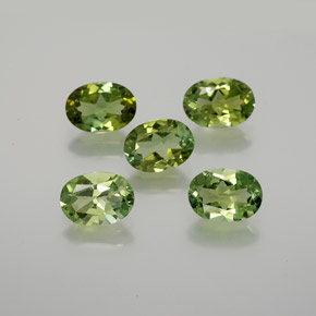 Medium Green Tormalina Gem - 0.7ct Ovale sfaccettato (ID: 378869)