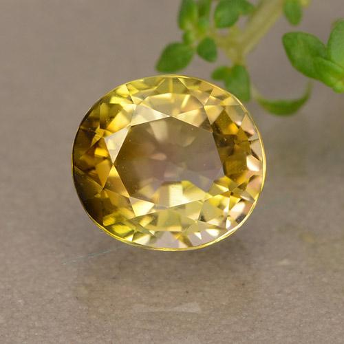 Bi-color Tourmaline Gem - 1.7ct Oval Facet (ID: 379629)