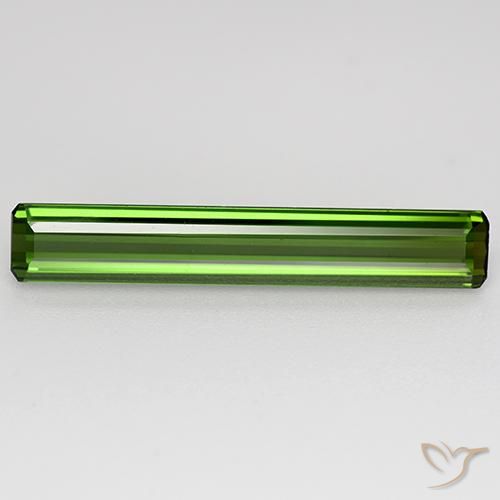 2.9 ct Loose Green Tourmaline, 23.2 x 3.8 mm Octagon Cut From Mozambique, Photo A