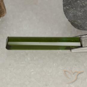 Tourmaline Gemstone in 18 x 3.5 mm Size for Sale, Tourmaline Stone in Forest Green Color