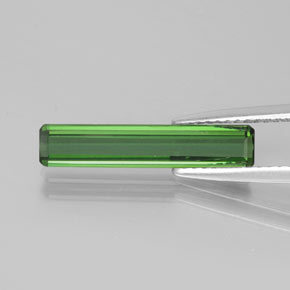 Forest Green Tourmaline Gem - 1.7ct Octagon Facet (ID: 381678)