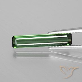 1.50ct Natural Cool Forest Green Tourmaline, Emerald Cut, VS