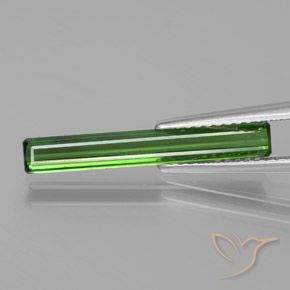 1.53 ct Green Tourmaline Gemstone, Tourmaline Gem in Octagon Facet Shape for Sale.