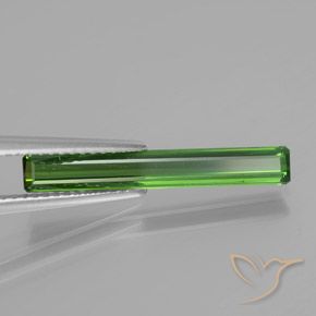 1.53 ct Green Tourmaline Stone, Natural Tourmaline in Octagon Facet Shape for Sale