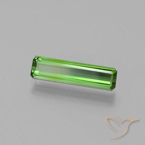 1.24 ct Green Tourmaline Stone, Natural Tourmaline in Octagon Facet Shape for Sale
