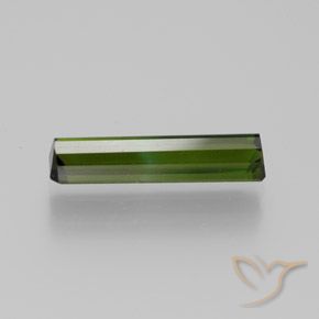 Tourmaline Gemstone in 14 x 3.5 mm Size for Sale, Tourmaline Stone in Earthy Green Color