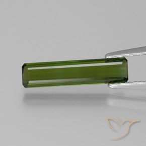 1.24ct Natural Dark Green Tourmaline, Emerald Cut, VVS