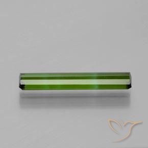 Tourmaline Gemstone in 16.9 x 3 mm Size for Sale, Tourmaline Stone in Forest Green Color
