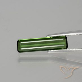 1.15ct Natural Forest Green Tourmaline, Emerald Cut, VS