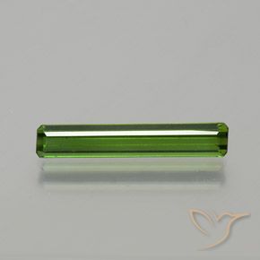 1.33ct Natural Forest Green Tourmaline, Emerald Cut, VVS-VS