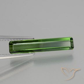 1.45 ct Green Tourmaline Stone, Natural Tourmaline in Octagon Facet Shape for Sale