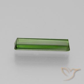 Tourmaline Gemstone in 13.7 x 3.2 mm Size for Sale, Tourmaline Stone in Medium Green Color
