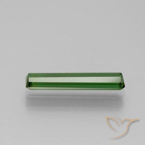 Tourmaline Gemstone in 14.3 x 3.2 mm Size for Sale, Tourmaline Stone in Green Color