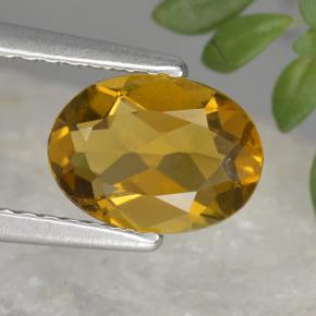 Коричневато-золотой Турмалин Камень - 1.1ct Фасетный Овал (ID: 388849)