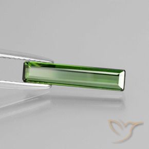 1.13 ct Green Tourmaline Stone, Natural Tourmaline in Octagon Facet Shape for Sale