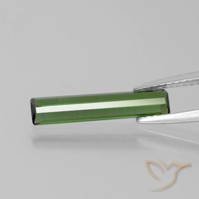 Tourmaline Gemstone in 16.5 x 3.4 mm Size for Sale, Tourmaline Stone in Medium Green Color