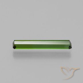 Tourmaline Gemstone in 17.8 x 3.1 mm Size for Sale, Tourmaline Stone in Forest Green Color