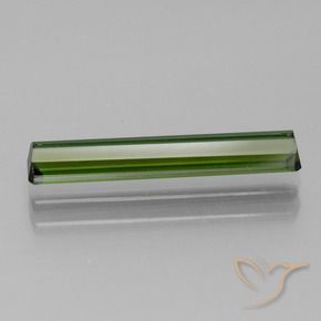 Tourmaline Gemstone in 17.1 x 3.1 mm Size for Sale, Tourmaline Stone in Earthy Green Color