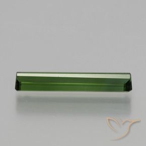 Tourmaline Gemstone in 14.9 x 3.2 mm Size for Sale, Tourmaline Stone in Forest Green Color