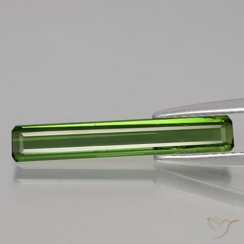 1.47ct Natural Forest Green Tourmaline, Emerald Cut, VS