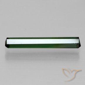 Tourmaline Gemstone in 16.9 x 3 mm Size for Sale, Tourmaline Stone in Medium-Dark Green Color