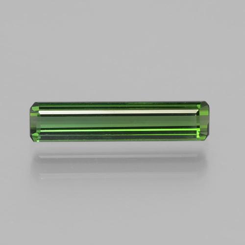 Medium-Dark Green Tourmaline Gem - 1.3ct Octagon Facet (ID: 398845)