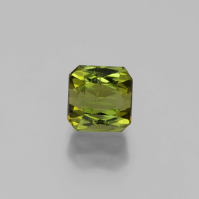 Earthy Green Tourmaline Gem - 1.1ct Octagon / Scissor Cut (ID: 401003)