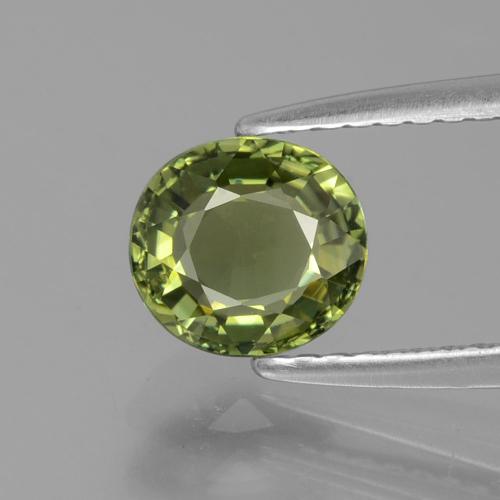 6,6 x 6,1mm ovaler grüner Turmalin aus Mosambik, Gewicht von 0,93 ct, natürlicher Edelstein in VVS Reinheit, 1 Stück ovaler Turmalin - Farbe: Tiefgrün, Mohs-Härte von 7 - 7,5 Geeignet für den täglichen Gebrauch im Schmuck, Symbolisiert Schutz, Photo A
