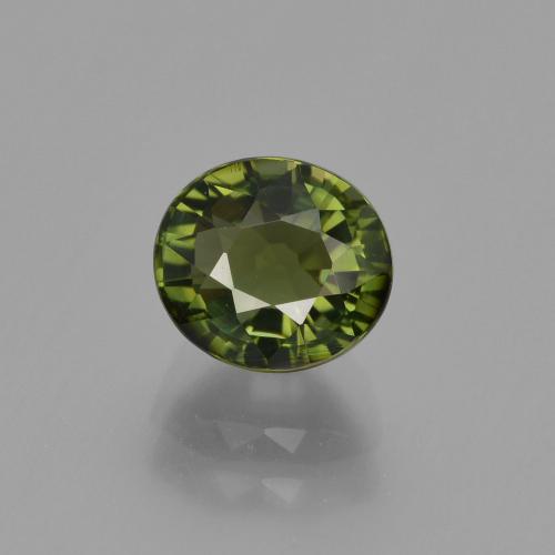 Medium-Dark Green Turmalin Edelstein - 1.4ct Oval facettiert (ID: 412954)