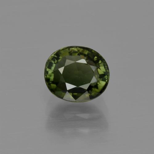 Forest Green Tourmaline Gem - 1.1ct Oval Facet (ID: 413154)