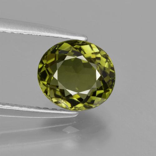 Warmes Erdgrün Turmalin Edelstein - 1.7ct Oval facettiert (ID: 413240)