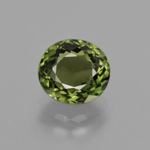 Deep Green Tourmaline Gem - 1.6ct Oval Facet (ID: 413241)