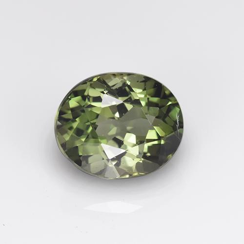 1,01 ct ovaler grüner Turmalin aus Mosambik, Größe 6,6 x 5,4mm, Garantiert natürlicher Edelstein, VVS-VS Reinheit, 1 Stück Turmalin in Erdiges Grün Farbe, Mohs-Härte von 7 - 7,5 Geeignet für den täglichen Gebrauch im Schmuck, Empfänglicher Stein, Photo A