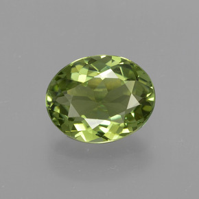 Medium Green Tourmaline Gem - 1.1ct Oval Facet (ID: 413256)