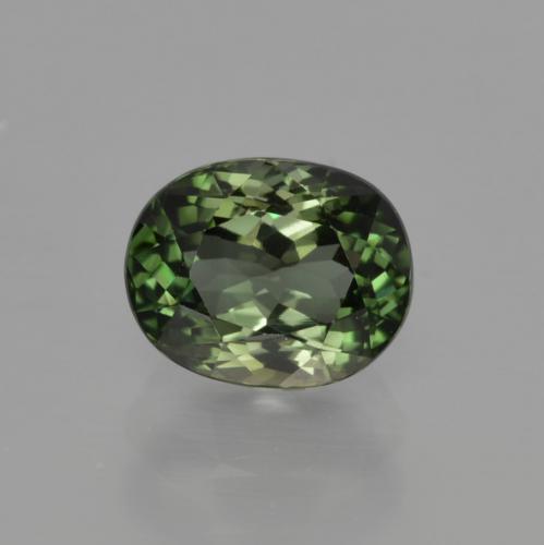 Deep Green Tourmaline Gem - 1.3ct Oval Facet (ID: 413270)