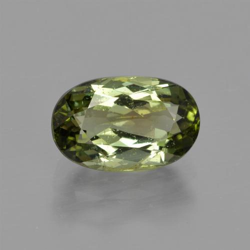 Verde bosque claro Turmalina Gema - 1.5ct Forma ovalada (ID: 413274)