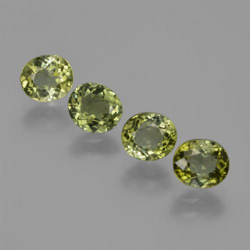 Yellowish Green Tourmaline Gem - 0.8ct Oval Facet (ID: 413341)