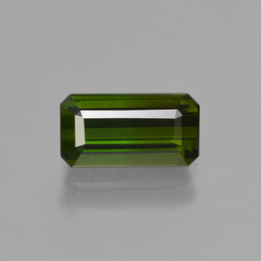 Deep Forest Green Tourmaline Gem - 1.9ct Octagon Facet (ID: 414061)