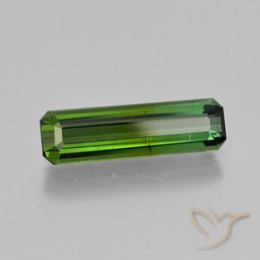 1.81 ct Green Tourmaline Stone, Natural Tourmaline in Octagon Facet Shape for Sale
