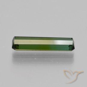 Tourmaline Gemstone in 14.7 x 4.3 mm Size for Sale, Tourmaline Stone in Dark Green Color
