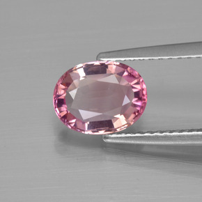 Rosado intenso Turmalina Gema - 1.5ct Forma ovalada (ID: 414924)