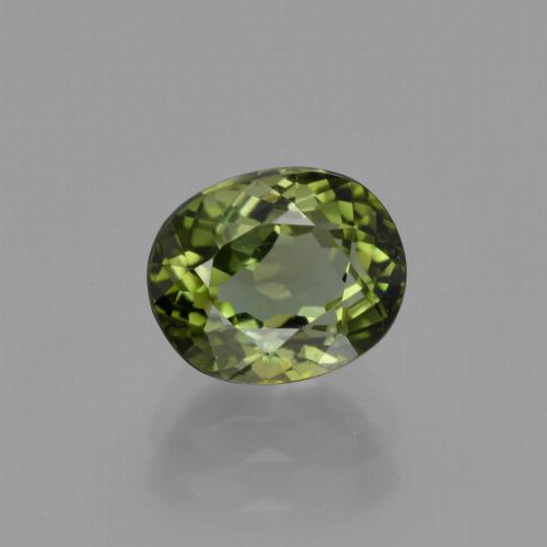Light Forest Green Турмалин Камень - 1.6ct Фасетный Овал (ID: 415159)