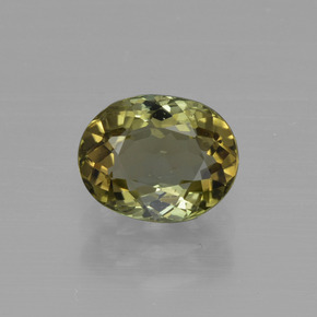 Warm Forest Green Tourmaline Gem - 1.1ct Oval Facet (ID: 415260)