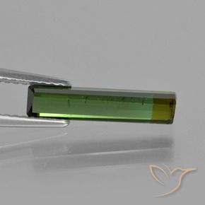Tourmaline Gemstone in 14.8 x 3.4 mm Size for Sale, Tourmaline Stone in Earthy Green Color